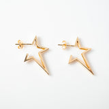 Fashion fancy solid star earrings