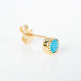 Scallop turquoise pushback earrings