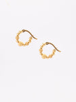 Classic Amalia Hoops Yellow Gold