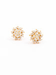 Stunner Diamond Earrings